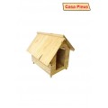 casa p / caes pinus n*01 casa p / caes pinus n*01