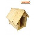 casa p / caes pinus n*03 (CÃES) casa p / caes pinus n*03 (CÃES)